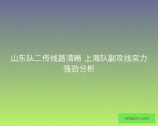 山东队二传线路清晰 上海队副攻线实力强劲分析