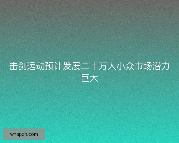 击剑运动预计发展二十万人小众市场潜力巨大
